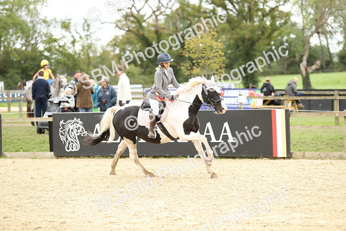 SBM_63211 - Supreme championship 75cm 80cm