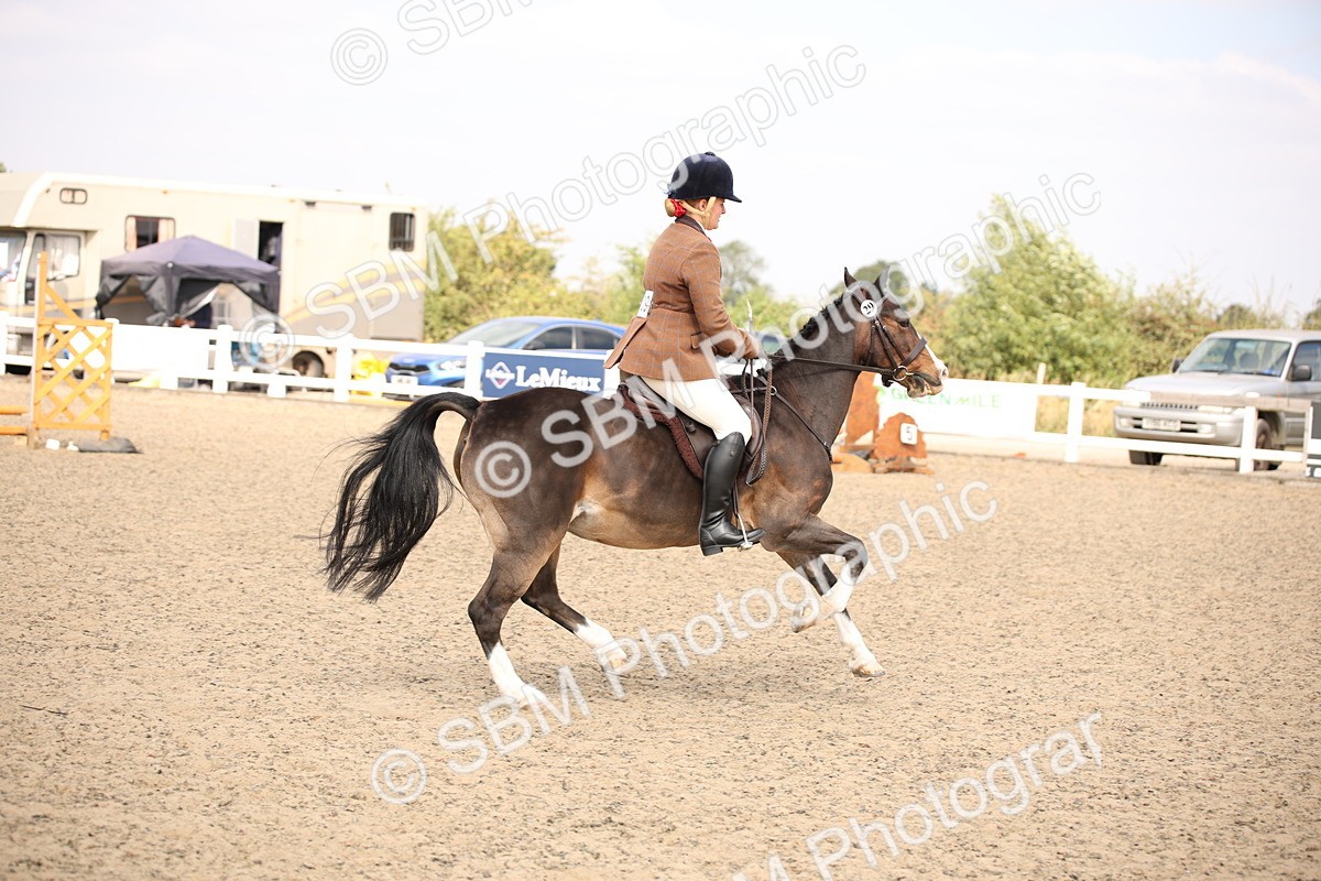 SBM_13572 - Class 406b - Working Veteran 50cm (20+)