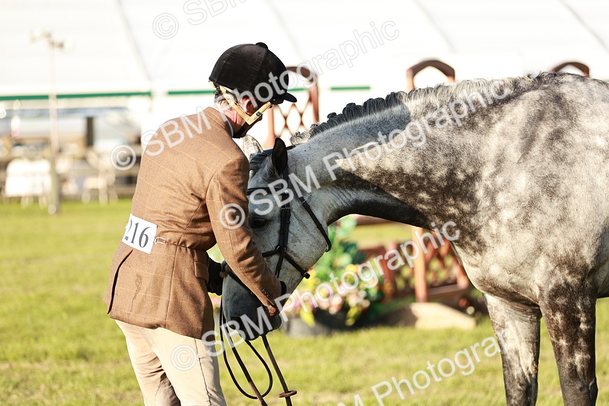 SBM_20523 - Class 117-119 - Sport Horse Working Hunter