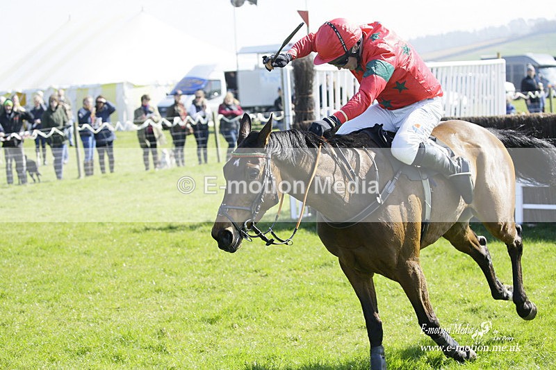 PtP 190322 304 - Wilton Hunt PtP Milborne St Andrew 19/03/22