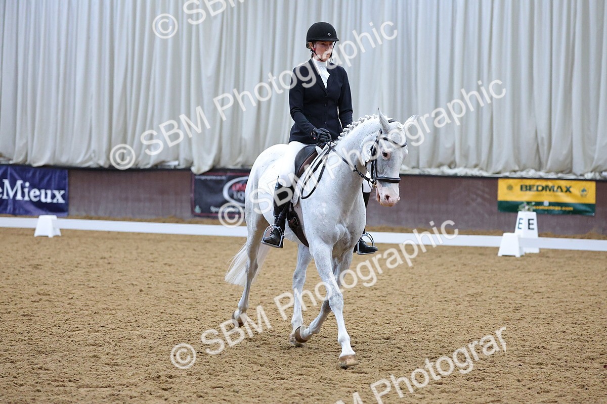SBM_001907 - Class 5 - Novice 3