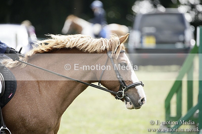 BVR090918 592 - BVRC Dressage and Show Jumping 09/09/18