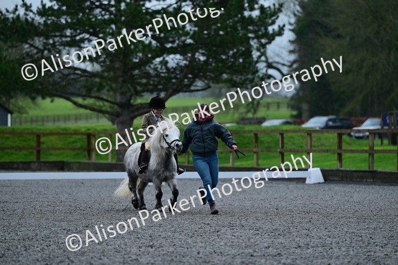 20260125-0788 - Class 9a - Walk Trot Assisted