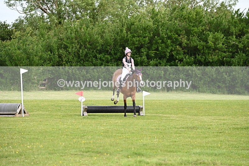 WJ6_2486 - Class 2 40cm