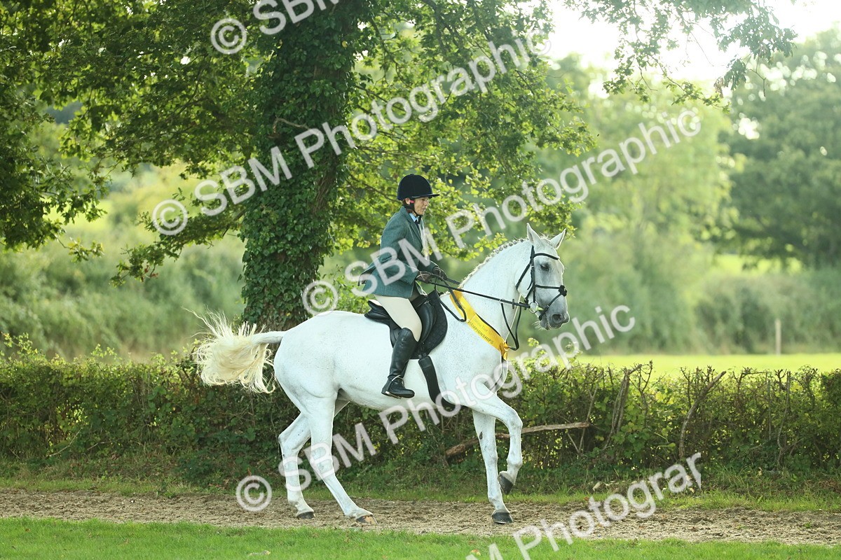 SBM_52254 - S33 - Working Hunter & Working Show Horse