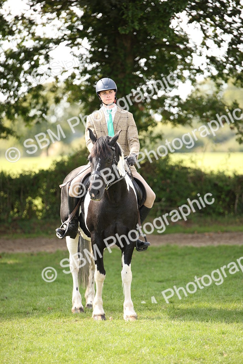 SBM_70138 - S65 - Piebald & Skewbald Horse Ridden