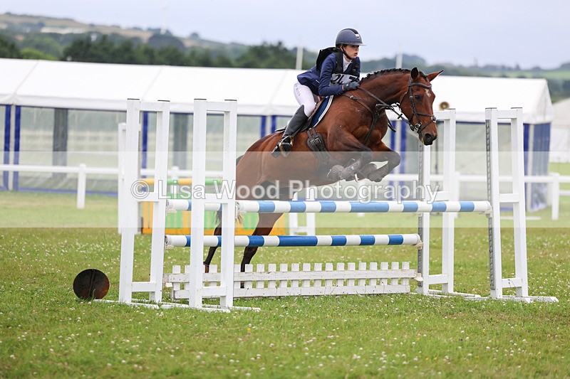 3E7A7414 - Class 7: PC90cm Regional Championship Qualifier Rnd 2 (B)