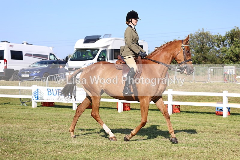3E7A5241 - Class 2: Rising Star Large Hack/Riding Horse