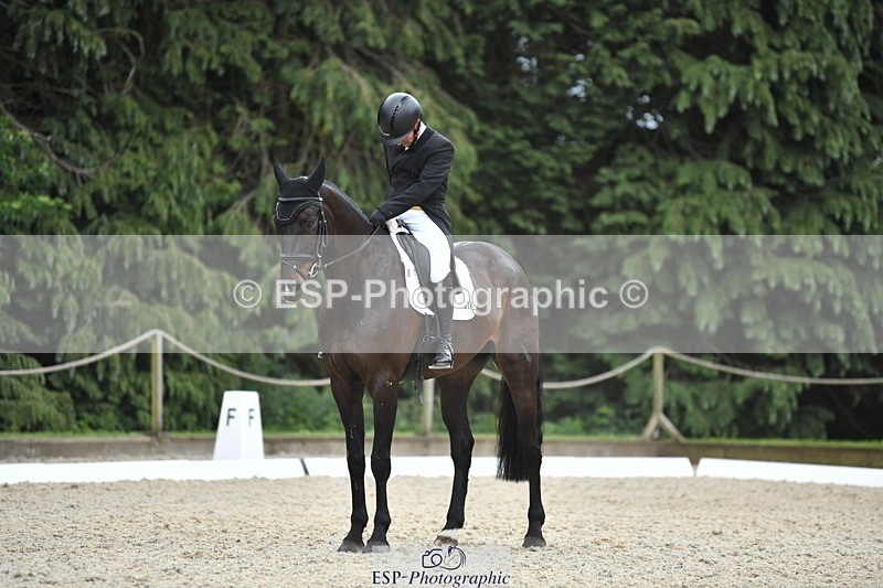 230525-141707-03124 - 319-RINGFORT_REVE_DU_MOULIN-Andrew_Downes-WEDTrotUp+DR