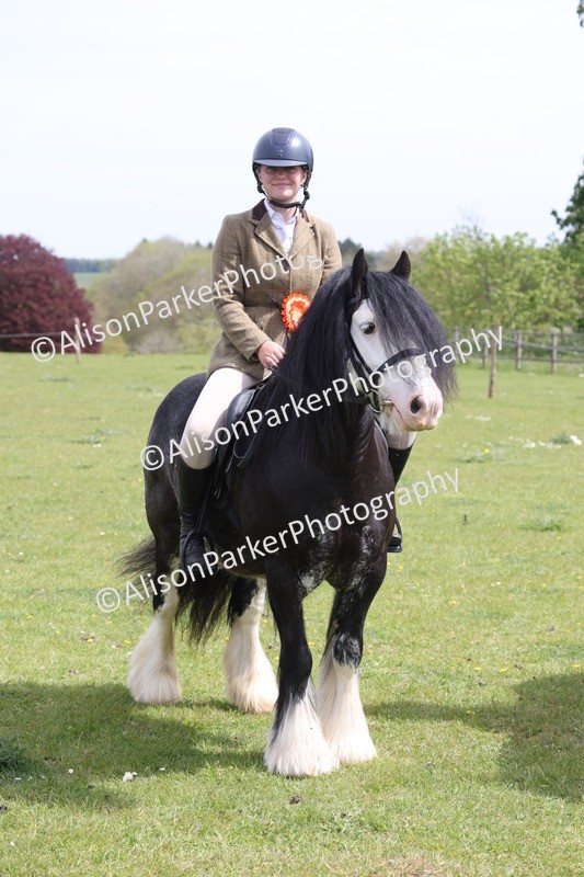 20260426-4024 - Class 33 - Best Pony 14.2hh and Under