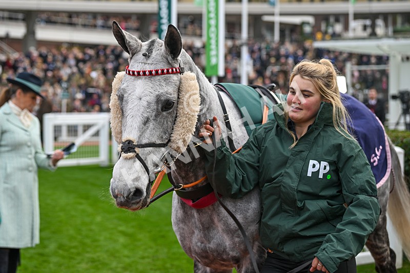 161124-Race 4-Paddock-Straw Fan Jack-0180 - Race 4