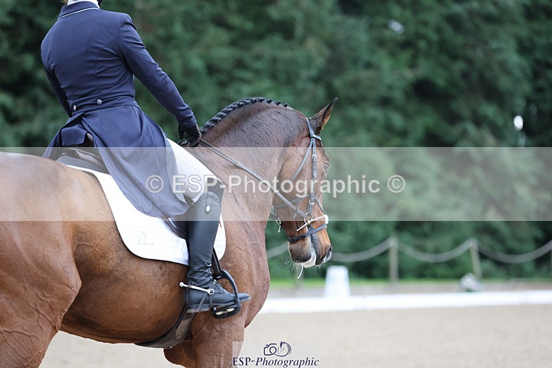 241024-114545-01908 - 053-Lois.Teal-Z7.CATASTROPHE