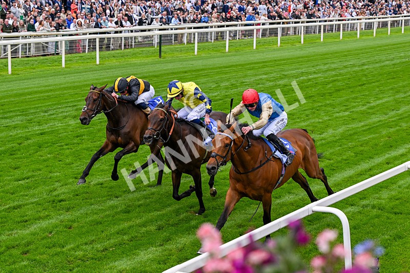 130626-Race 3-Gregory-0477 - Race 3 15.00pm Sky Bet Race To The Ebor Grand Cup Stakes