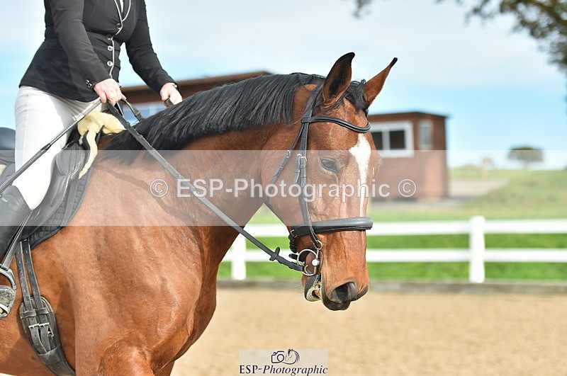 231111A-125426-01985 - Cls 12 Newcomers & 1.10m Open