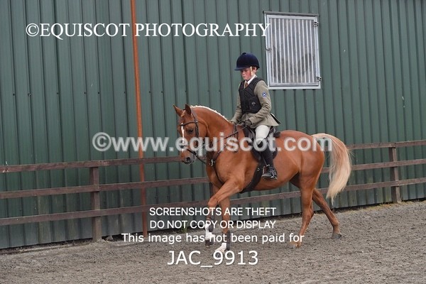 JAC_9913 - CLASS 3 Intermediate Working Hunter (0.70m - 0.85m)