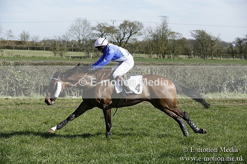 PtP 250317 45 - V.W.H. Hunt Point-to-Point Siddington 25/03/17