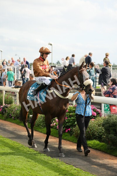 yr04092022r6-7 - Race 6 4.40pm Hanson Springs Stakes