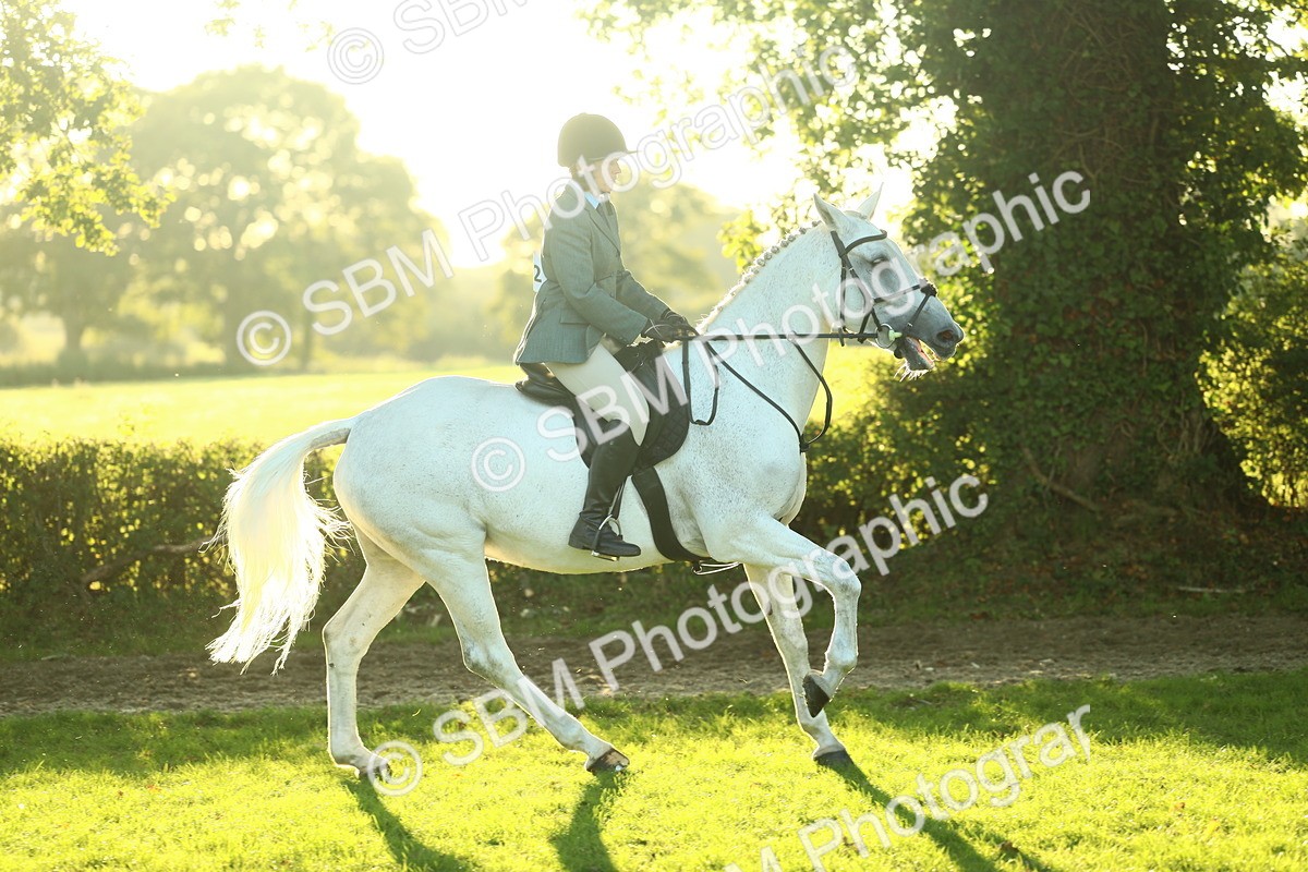 SBM_56408 - S14 - Riding Club Horse