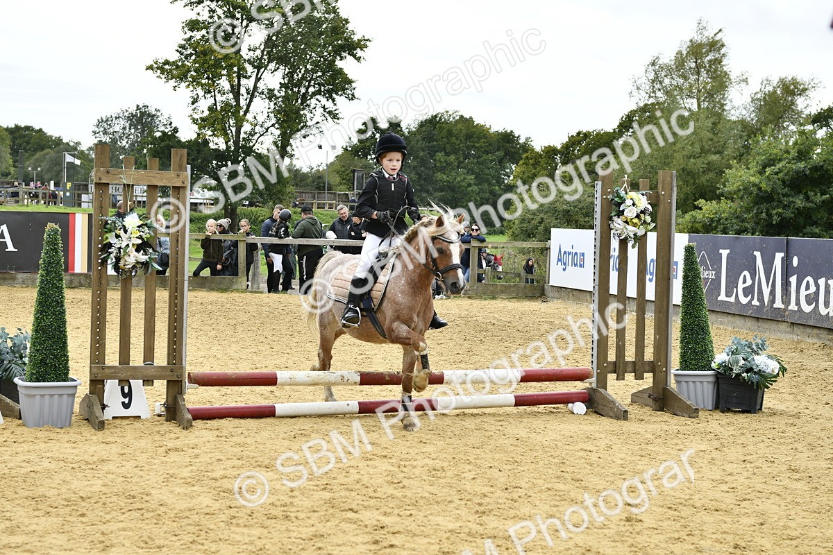 SBM_65521 - J2a mini Tour Junior Pony 30cm Championship