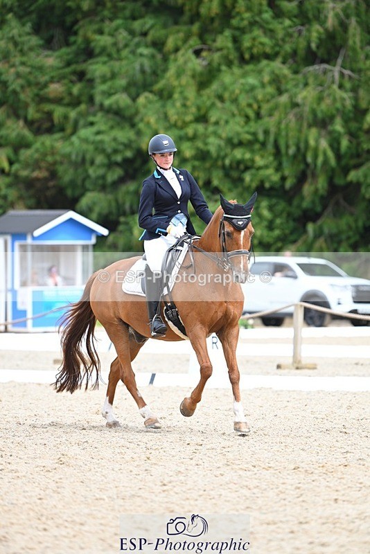 230813-134059-07620 - Cls 13 Medium Bronze 13.15 to End