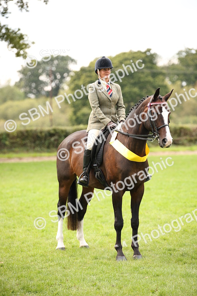 SBM_73644 - Ridden Horse Supreme Championship