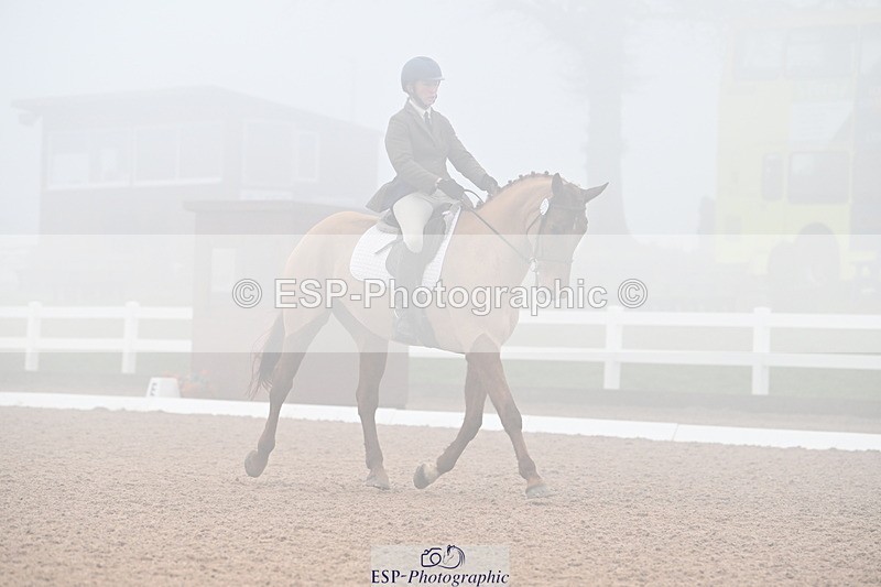 240217A-130648-02754 - 239-Sophie.Hawke-Dionysus