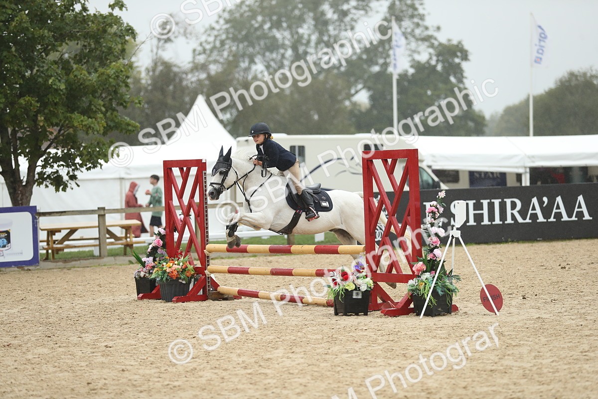 SBM_73997 - J16 - Junior Pony 75cm Championship