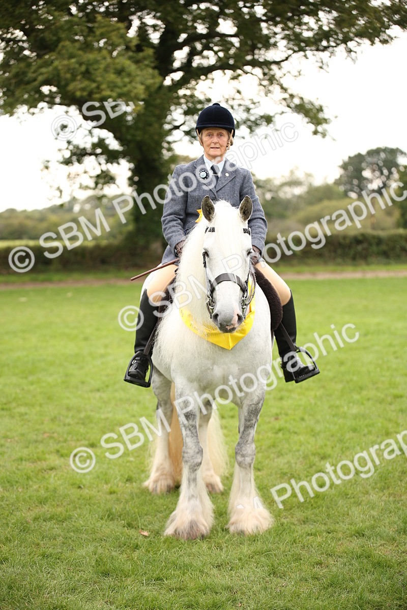 SBM_73584 - S68 - Traditional Cob Ridden