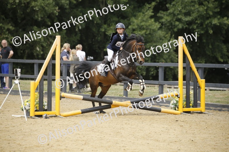 20250622-4723 - 50cm