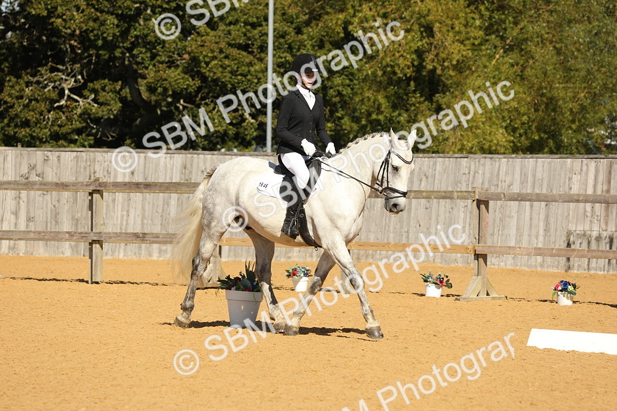 SBM_40493 - D21 - Junior Championship - Intro A