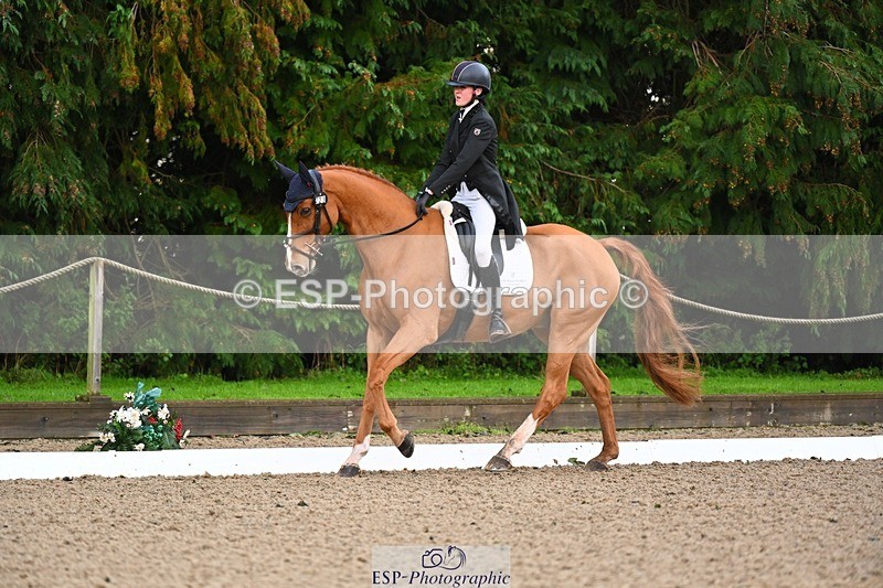 231021-092205-12516 - 223-RASCAL.ROULETTE-Charlotte.Byrnes-DR