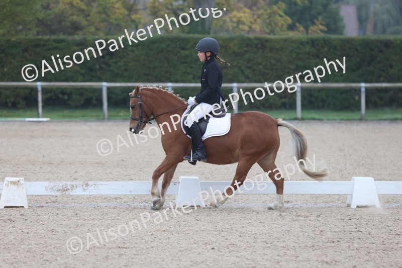 20251012-0081 - Class 1 - Prelim 5