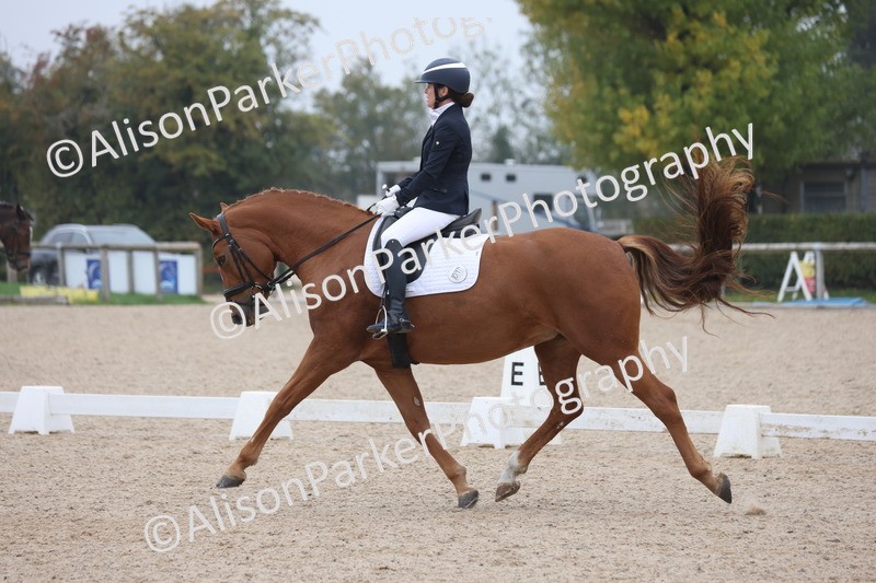 20251012-0553 - Class 4 - Novice 6