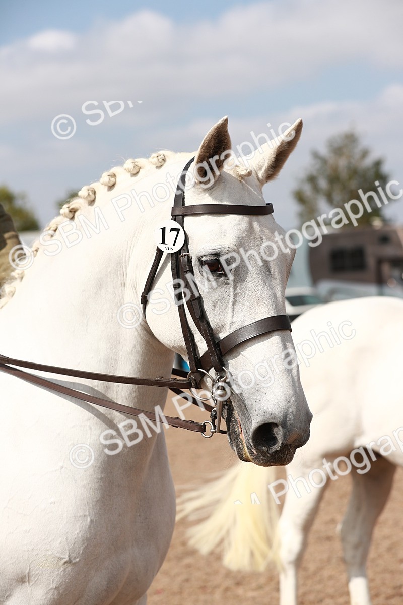 SBM_14872 - Class 212 Ridden Hunter - Small