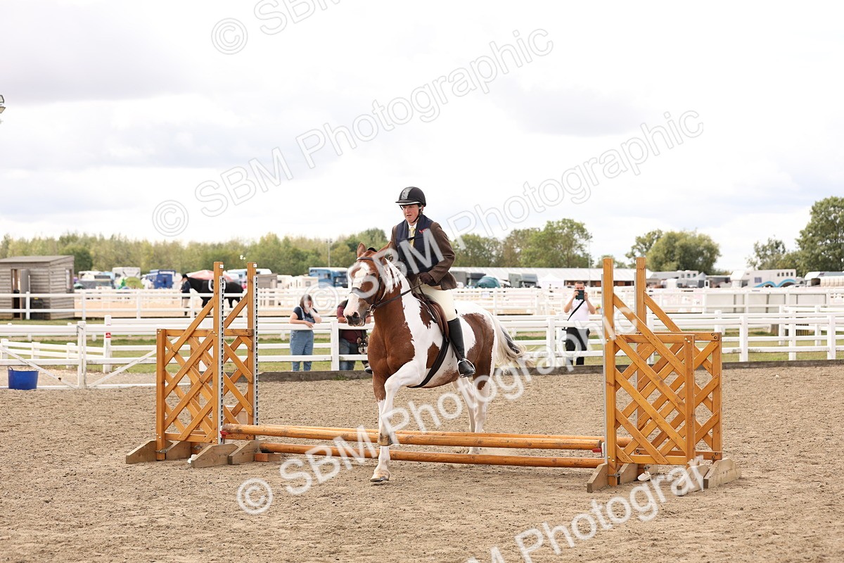 SBM_05095 - Class 56a -  Style & Performance - 50cm (15-19)