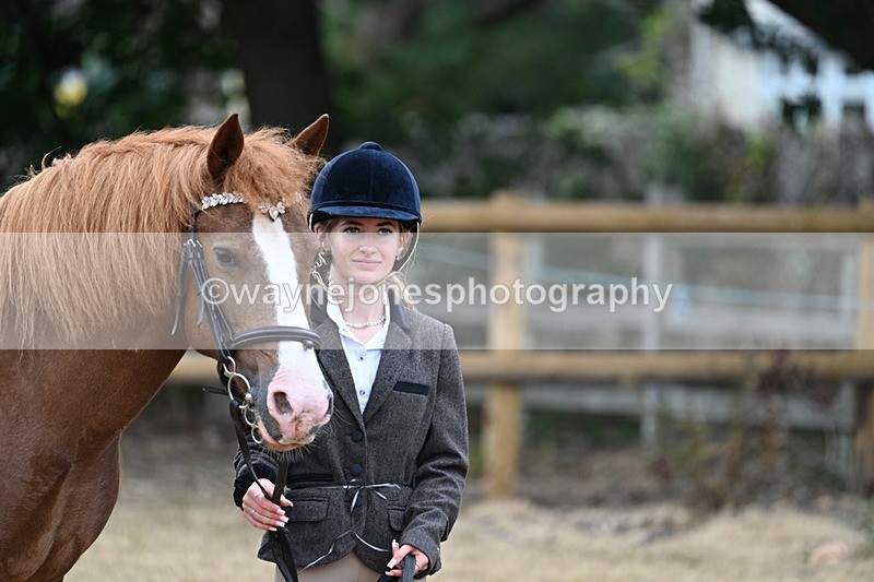 WJ7_8220 - Class 4 Prettiest Mare up to 14.2hh