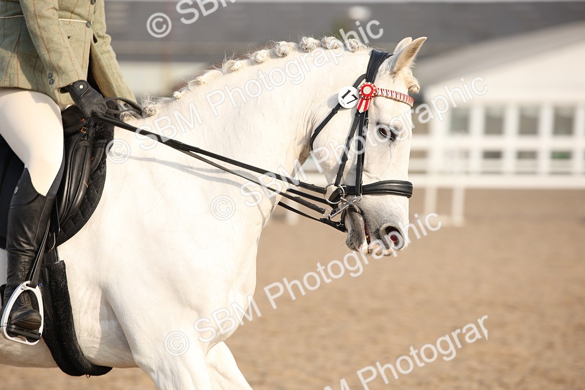 SBM_08844 - Class 12R Regional Ridden Pre-Vet