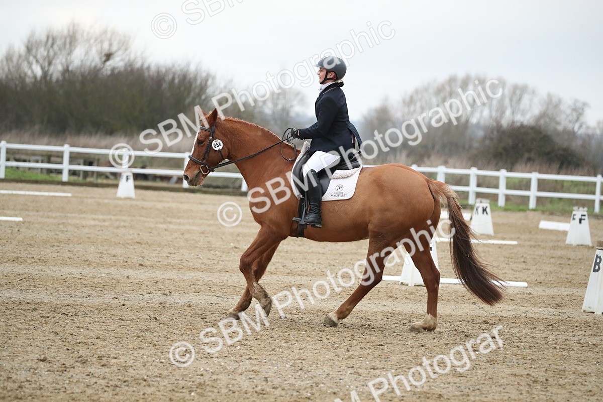 SBM_004830 - Novice 3