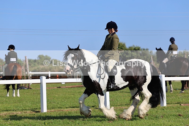 IMG_1523 - Class 30: Ridden Native/Trad Coloured Pony