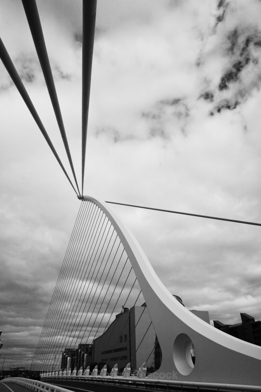 Cables - Shapes and Skies
