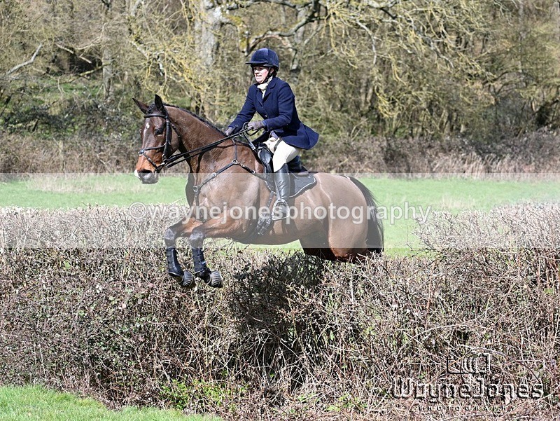 WJ7_6696 - Edited examples