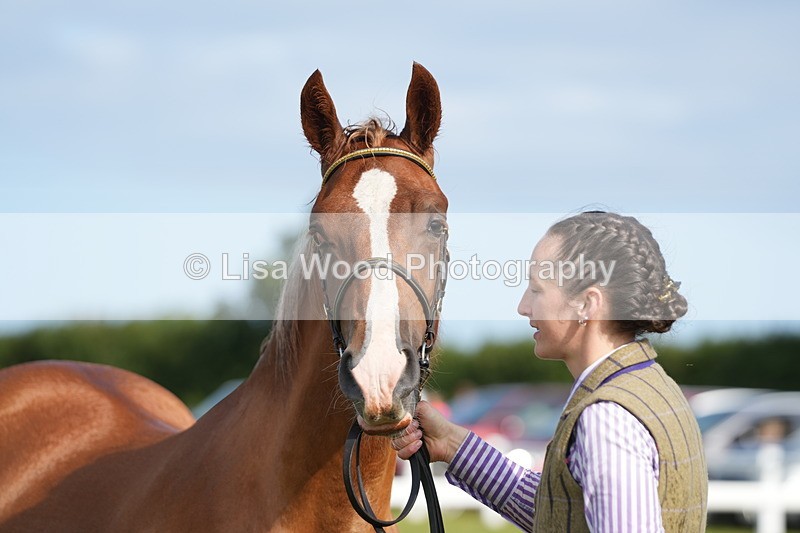 DSC04847 - Class 47: NPS M&M Yearling