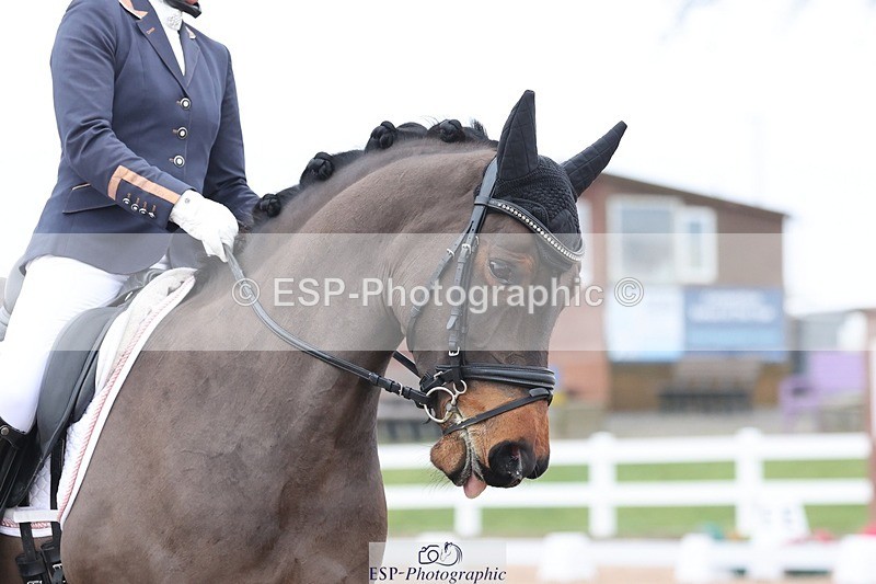 250216-131239-05816 - 222-Alice.Peternell-Fourseasons.Sienna