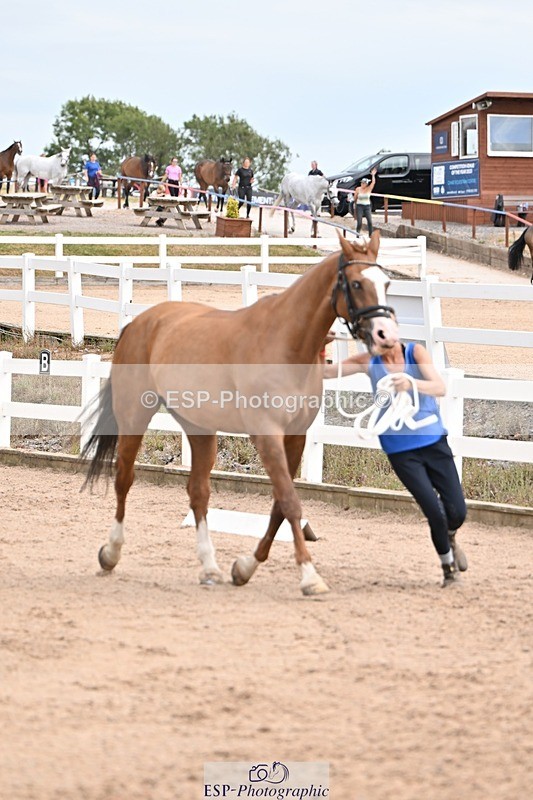 250716-150632-01629 - Trot Up 2.30 to 3.30