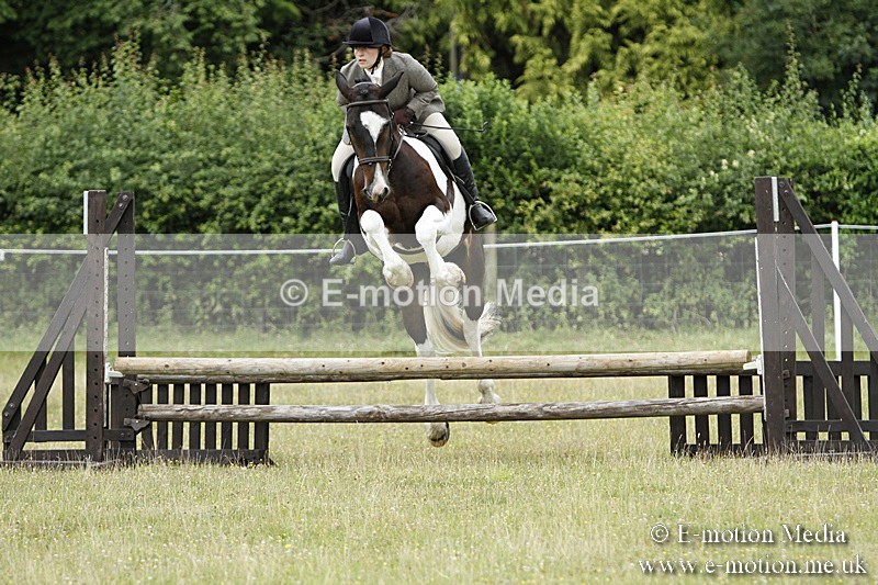 BVR160717-118 - Ring 3 BVRC Show 16/07/17