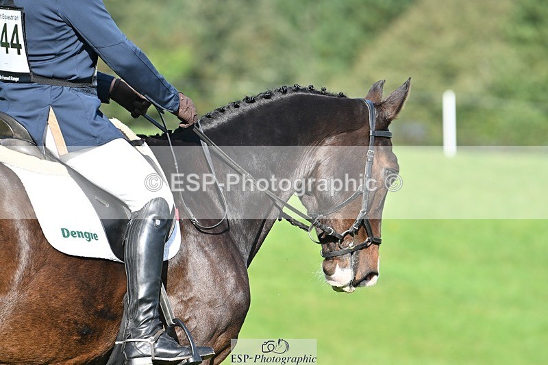 231020-110320-07774 - 644-HANDS.FREE-Alec.Miles-DR