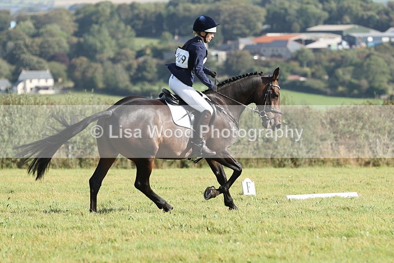 JPP_8002 - Class 2A: Trekenning Open: Dressage
