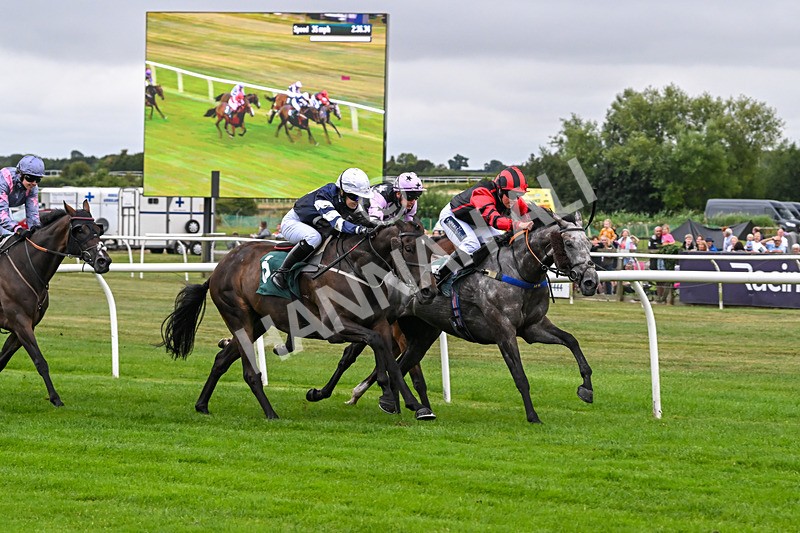180825-Race 1-Stellarmasterpiece-8159 - Race 1