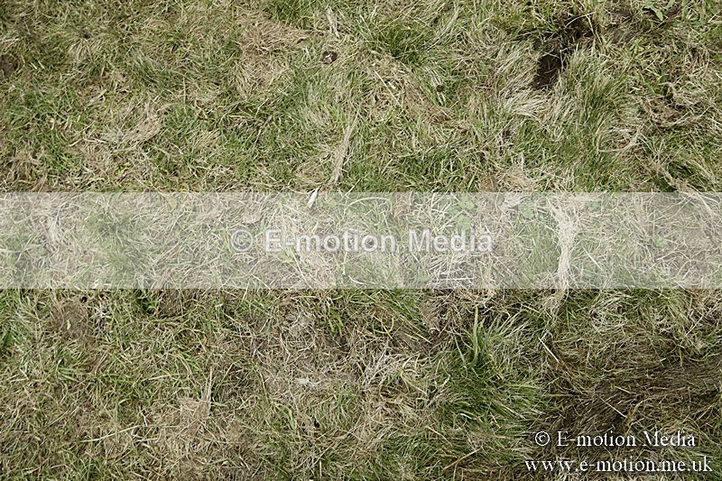 PtP 180218 1013 - Combined Services Point-to-Point Larkhill 18/02/18