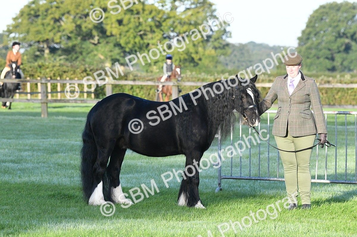SBM_32570 - S15 - Condition & Turnout In Hand